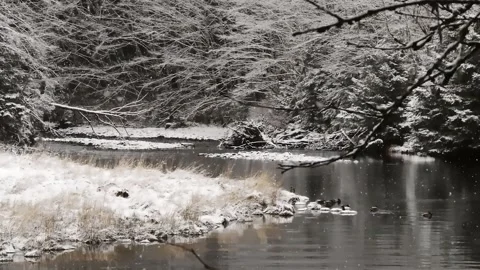 Epic Space Nebula Motion Background | Cosmic Wonders in Stunning Detail Stock Footage 296918872