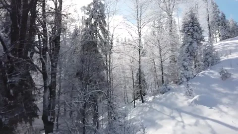 Epic Space Nebula Motion Background | Cosmic Wonders in Stunning Detail Stock Footage 296918889