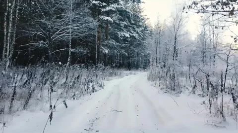 Epic Space Nebula Motion Background | Cosmic Wonders in Stunning Detail Stock Footage 296918942