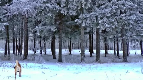 Epic Space Nebula Motion Background | Cosmic Wonders in Stunning Detail Video stock 296919433