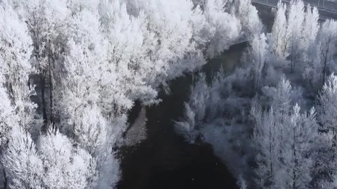 Epic Space Nebula Motion Background | Cosmic Wonders in Stunning Detail Stock Footage 296919533
