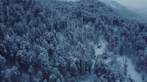 Epic Space Nebula Motion Background | Cosmic Wonders in Stunning Detail Stock Footage 296919630