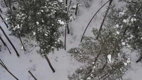 Epic Space Nebula Motion Background | Cosmic Wonders in Stunning Detail 스톡 동영상 296919700