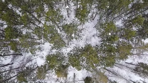 Epic Space Nebula Motion Background | Cosmic Wonders in Stunning Detail Stock Footage 296919755