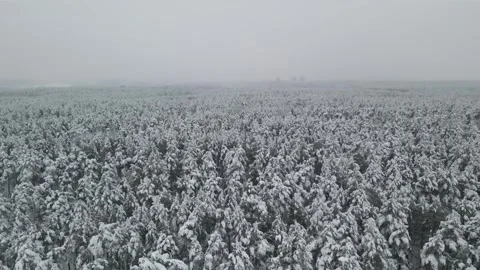 Epic Space Nebula Motion Background | Cosmic Wonders in Stunning Detail Stock Footage 296920229