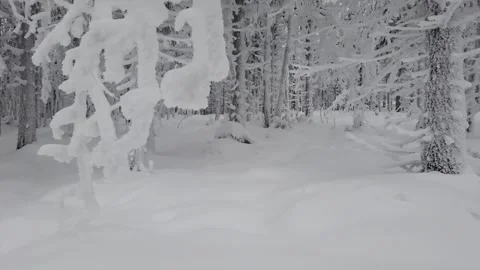 Epic Space Nebula Motion Background | Cosmic Wonders in Stunning Detail Stock Footage 296920782