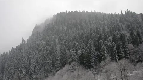 Epic Space Nebula Motion Background | Cosmic Wonders in Stunning Detail Stock Footage 296921519