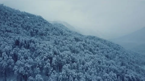 Epic Space Nebula Motion Background | Cosmic Wonders in Stunning Detail Stock Footage 296921555