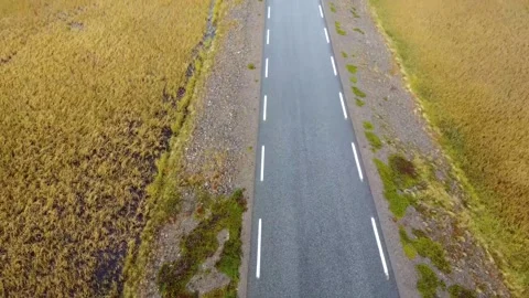 Epic street start Stock Footage 209641930