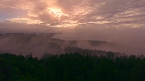 Epic Sunrise Over Misty Forest Hills — Aerial View of Norway Stock Footage 320110294