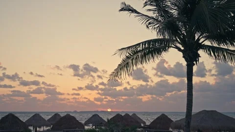 Epic Sunrise over the ocean beach on the coast of Mexico Palapas Palm Trees Vídeos de archivo 280704281