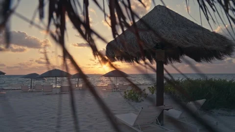 Epic Sunrise over the ocean beach on the coast of Mexico Palapas Palm Trees Stock Footage 280704334
