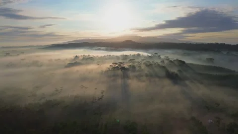 Epic Sunrise tilt shift light and foggy morning Stock Footage 287072876