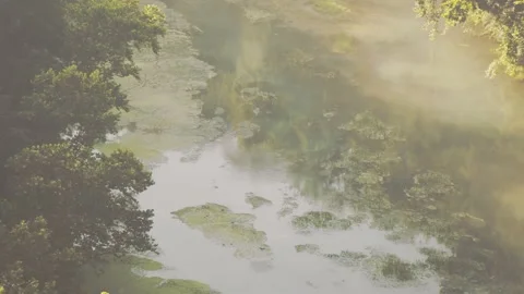Epic Swamp Marsh During Sunset Vídeos de archivo 138715807