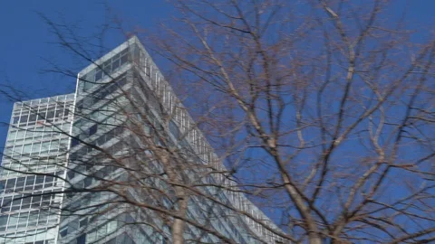Epic Tilt-up to Skyscraper with Parallax Effect from Tree Stock-Footage 92652488