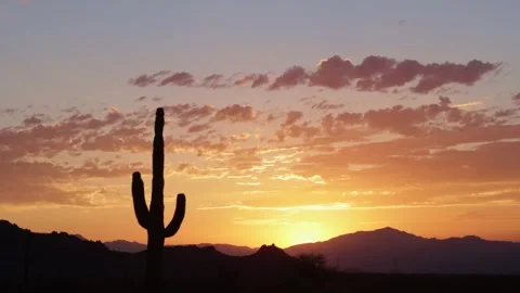 Epic Time Lapse With Silhouetted Saguaro Cactus With Sunrise Behind Stock Footage 344278190