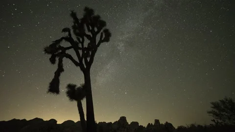 Epic Timelapse of Persid Meteor Shower behind Joshua Tree Vidéo 197089575
