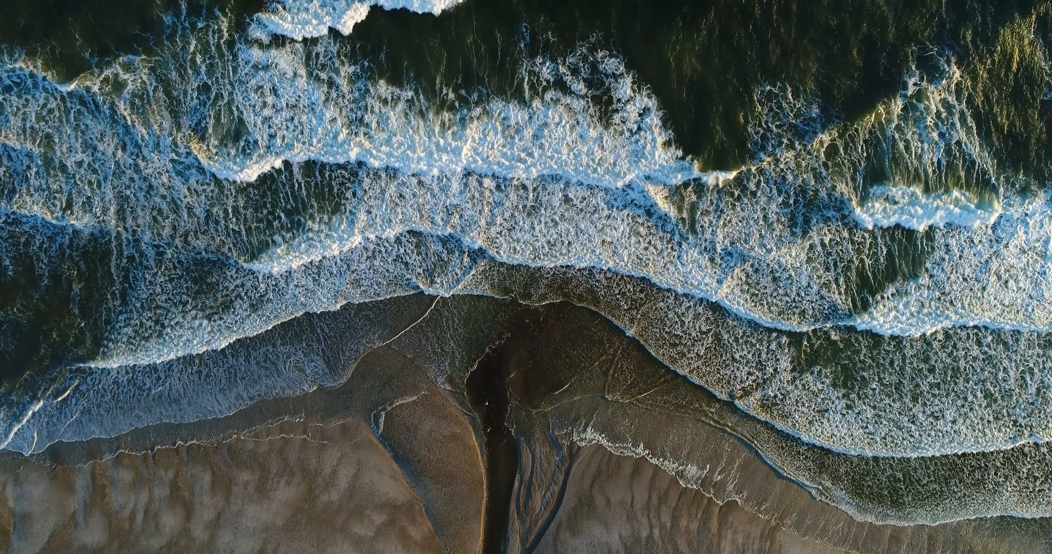 Epic Top Down Aerial of Waves Crashing with Birds in Massachusetts 4K