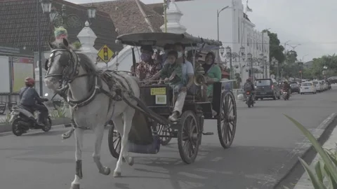 Epic traditional transportation Stock Footage 170933619