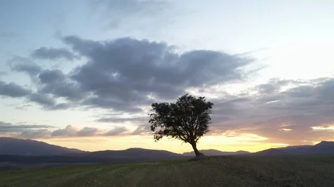 Epic Tree Alone in the Hill Drone footage beautiful sky colors sunset Video stock 130115176