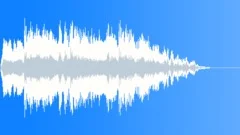 Epic Victorious and Successful Happy Ending (10 sec) Stock Music