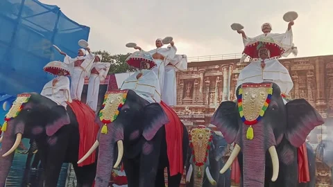An epic video of dummy elephant models with human figures on top, showcased.. Video stock 313382161
