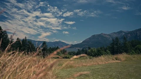 Epic View Columbia River Gorge With Mountains Behind Wildflowers 스톡 동영상 280703005