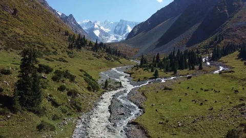 Epic view of snow-capped mountain peaks and winding river in alpine valley Vídeos de archivo 335647551