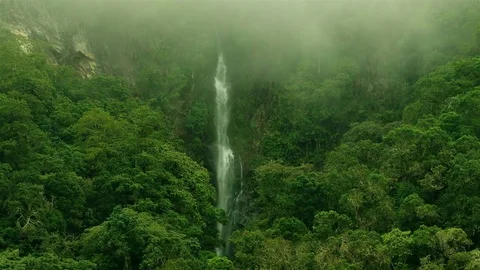 Epic waterfall Nature background. Humidity In Jungle Rainforest with waterfall Stock Footage 82315380