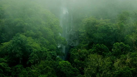 Epic waterfall Nature background. Powerful waterfall in High Humidity Rainforest Stock Footage 118011150