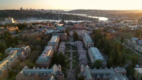 Epic wide aerial starting on the cherry blossoms at the University of Stock Footage 175289907