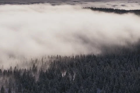 Epic winter clouds rolling over forest 8K Stock Footage 243489807