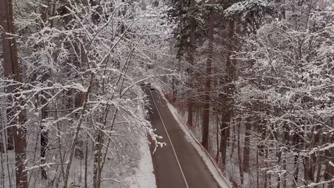Epic winter forest Video stock 99560436