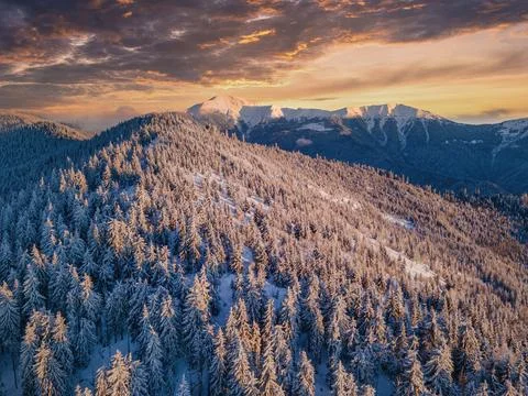 Epic winter wilderness 스톡 사진