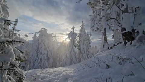 Epic winter wonderland hyperlapse in the Postavaru Mountains, Romania. Stock Footage 344256911