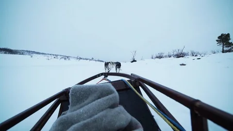 Epical dog sled tour Stock Footage 89504203