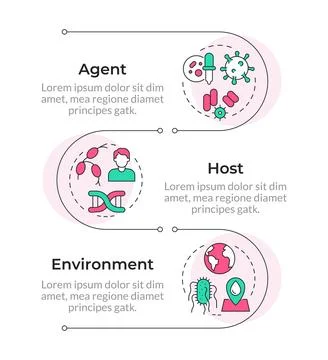 Epidemiologic model types infographic vertical sequence Stock Illustration