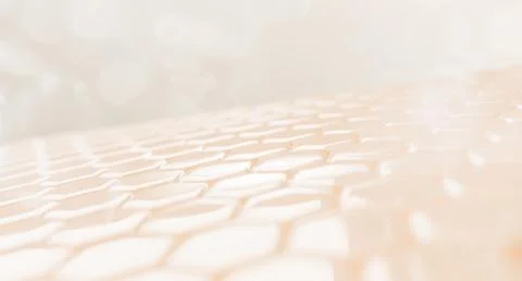 Epidermis layer with hexagon cell pattern 3d render. Healthy facial skin with Stock Illustration