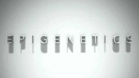 Epigenetics 3D title animation with shadows on a white background 스톡 동영상 296543263