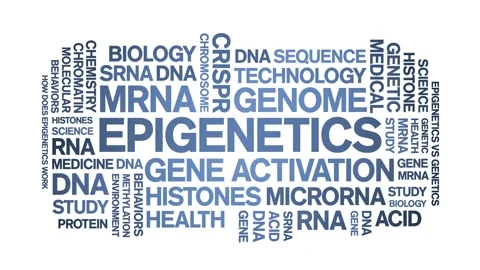 Epigenetics animated word cloud,animation tag kinetic typography seamless loop. Stock-Footage 263956019