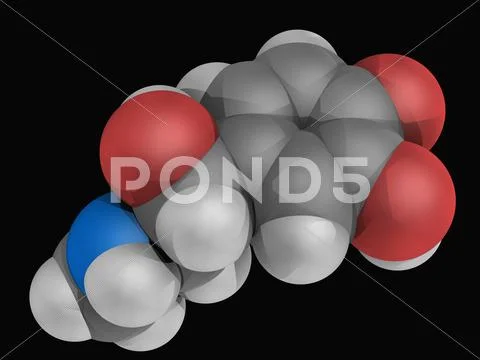 Epinephrine molecule Stock Illustration