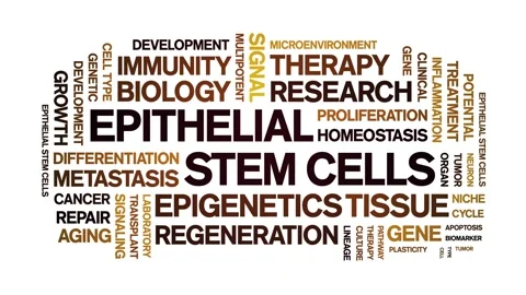 Epithelial Stem Cells animated word cloud,animation kinetic typography loop. Stock Footage 327630724