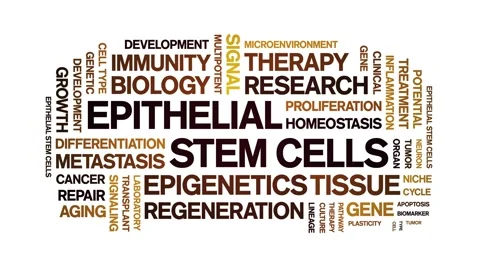 Epithelial Stem Cells animated word cloud,animation kinetic typography loop. Stock Footage 327630770