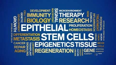 Epithelial Stem Cells animated word cloud,animation kinetic typography loop. Stock Footage 327631624