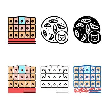 Epithelial tissue styles color icon vector Stock Illustration