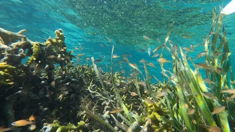 EPKS1098 Stock Footage 128117382