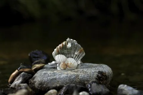 Epoxy shell shaped necklace on stone Stock Photos