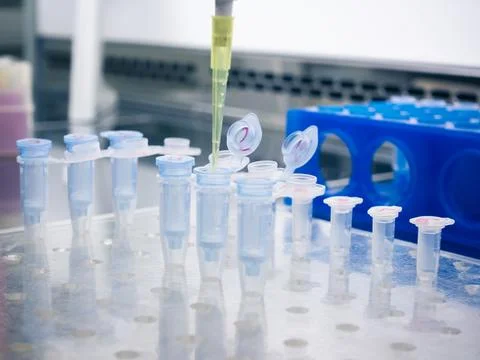 Eppendorf filters using an automatic pipette. Stock Photos