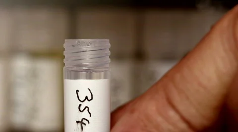 Eppendorf tube containing tissue samples for DNA analysis Stock Footage 729419