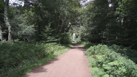 Epping Forest - Pathway Stock Footage 143859998